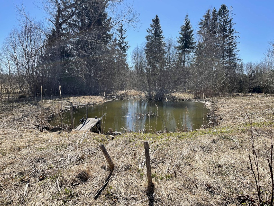 Mustvee vald, Saarjärve küla, Saarelehe