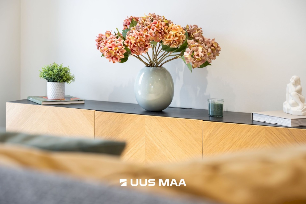 Rakvere linn, Terase 13-3