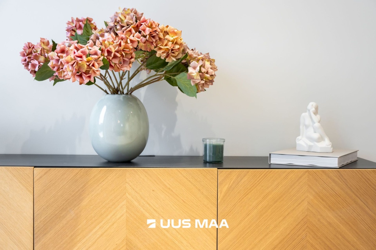 Rakvere linn, Terase 13-3