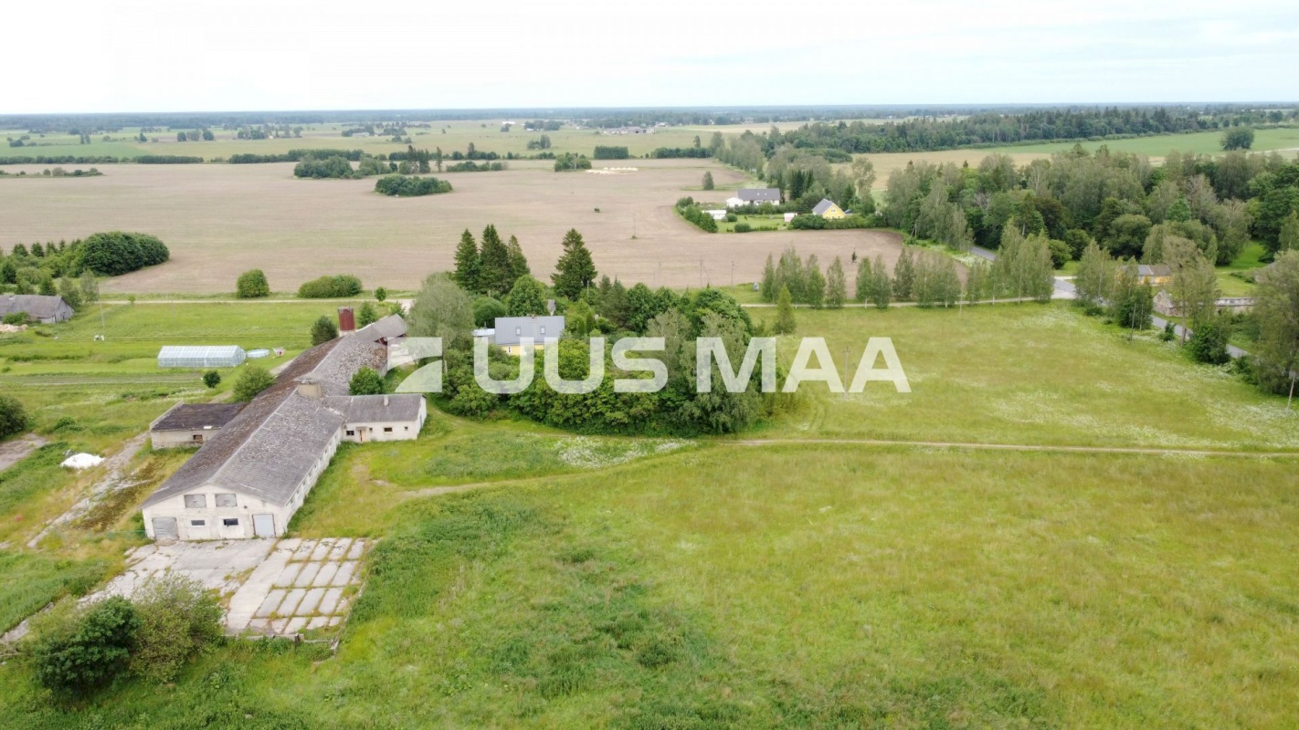 Vinni vald, Rohu küla, Pullilauda