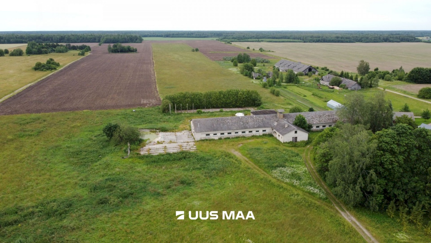 Vinni vald, Rohu küla, Pullilauda