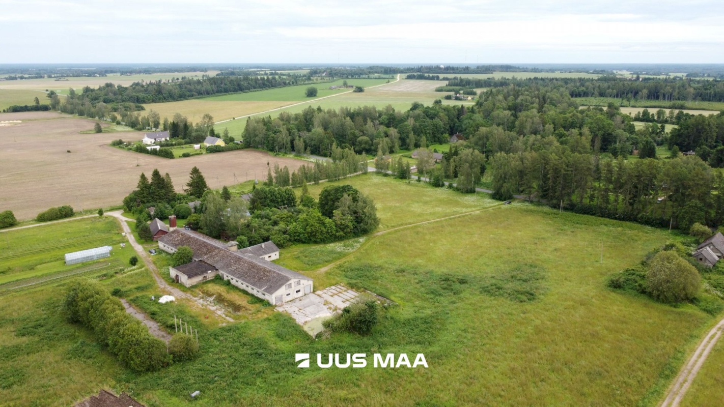 Vinni vald, Rohu küla, Pullilauda