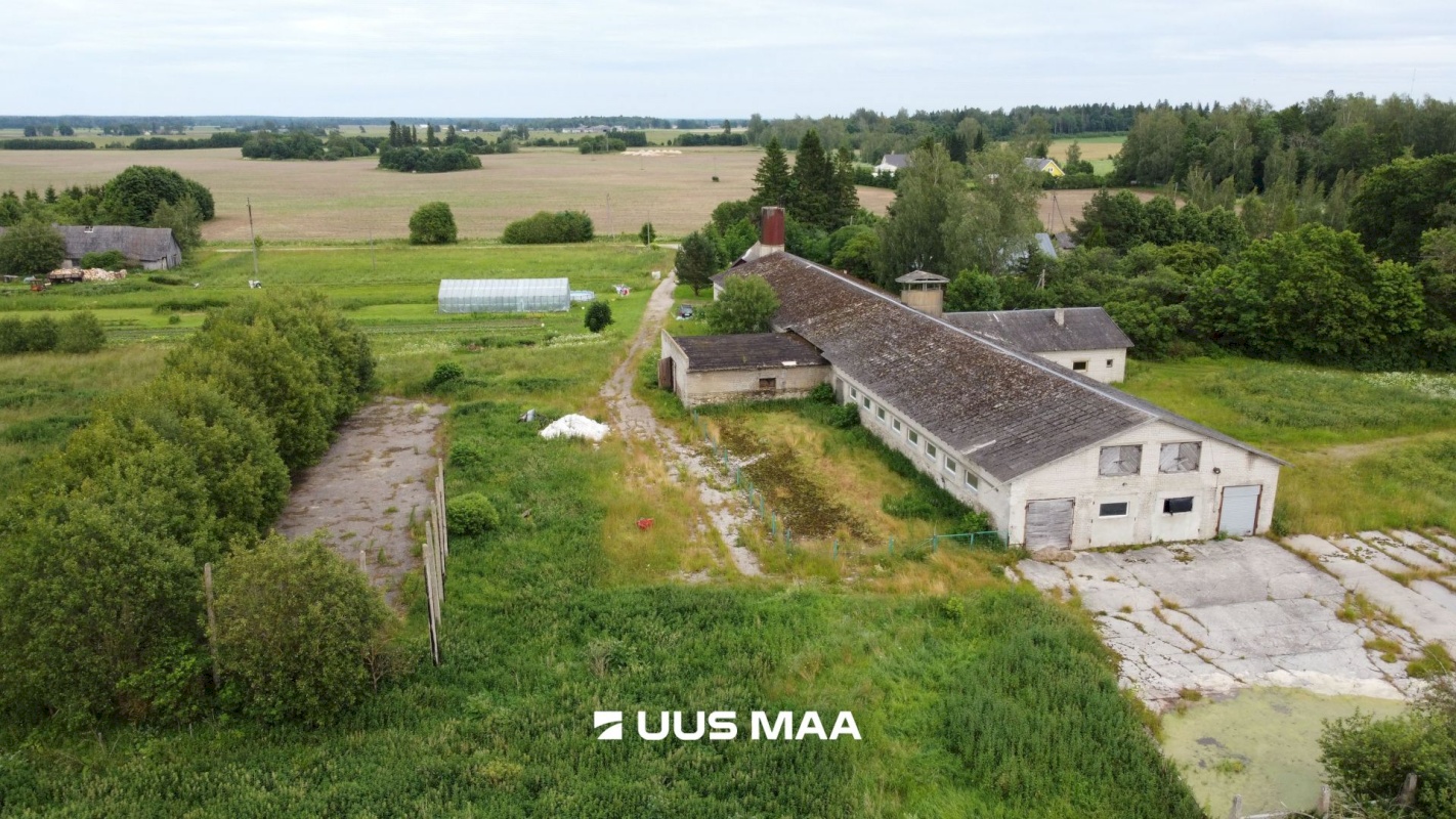 Vinni vald, Rohu küla, Pullilauda
