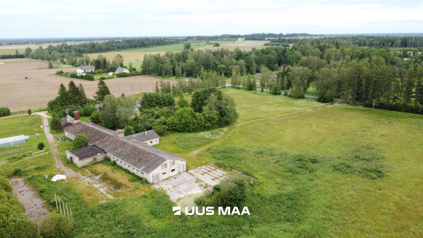 Vinni vald, Rohu küla, Pullilauda