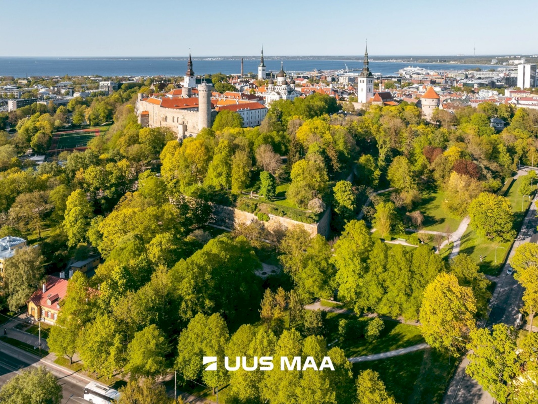 Tallinn, Kesklinna linnaosa, Kassisaba, Luise 13/2-1