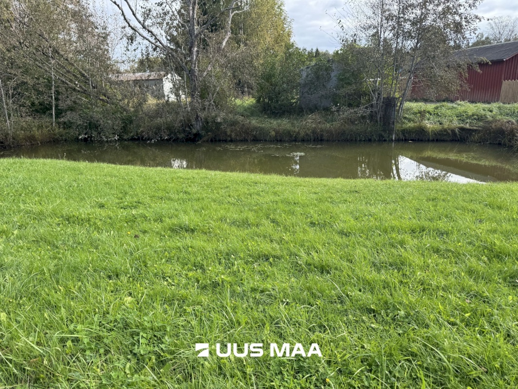 Tori vald, Kilksama küla, Tammiku tee