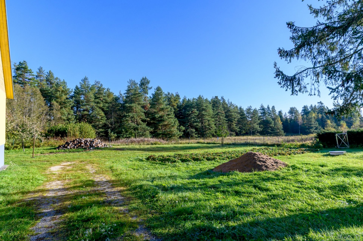 Rakvere vald, Kohala küla