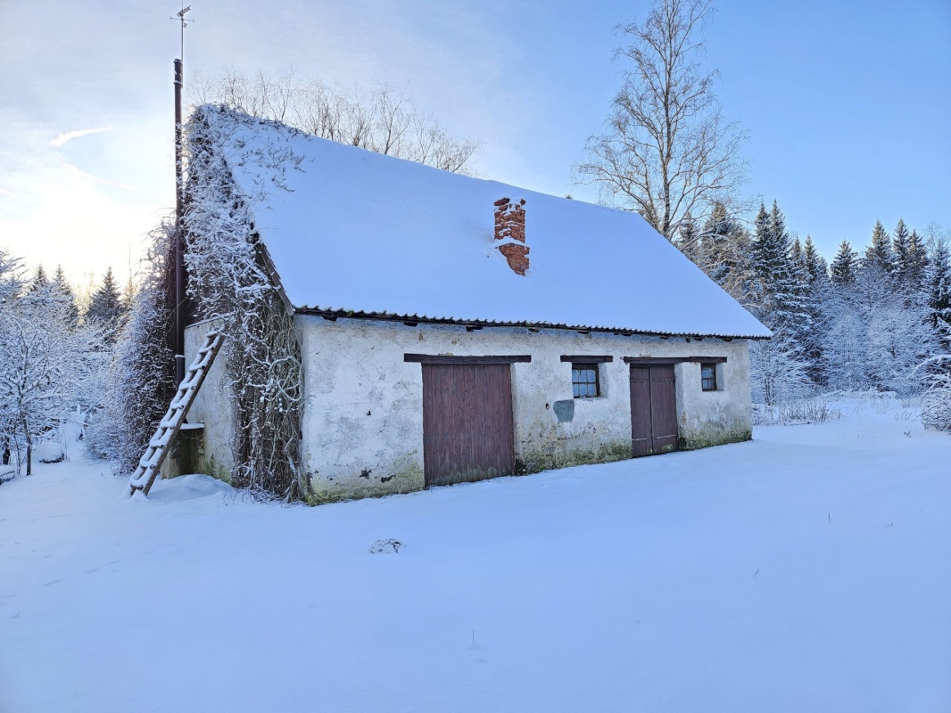 Haljala vald, Lauli küla, Vaarika