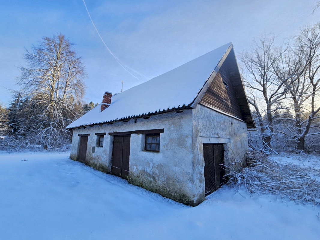 Haljala vald, Lauli küla, Vaarika