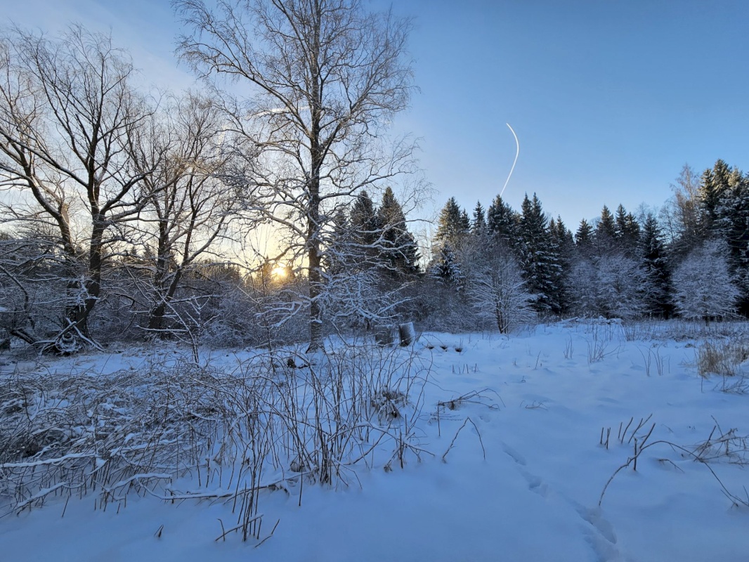 Haljala vald, Lauli küla, Vaarika