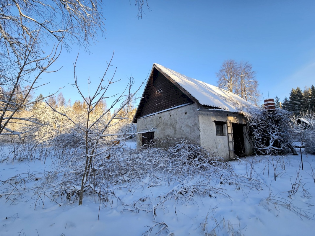 Haljala vald, Lauli küla, Vaarika