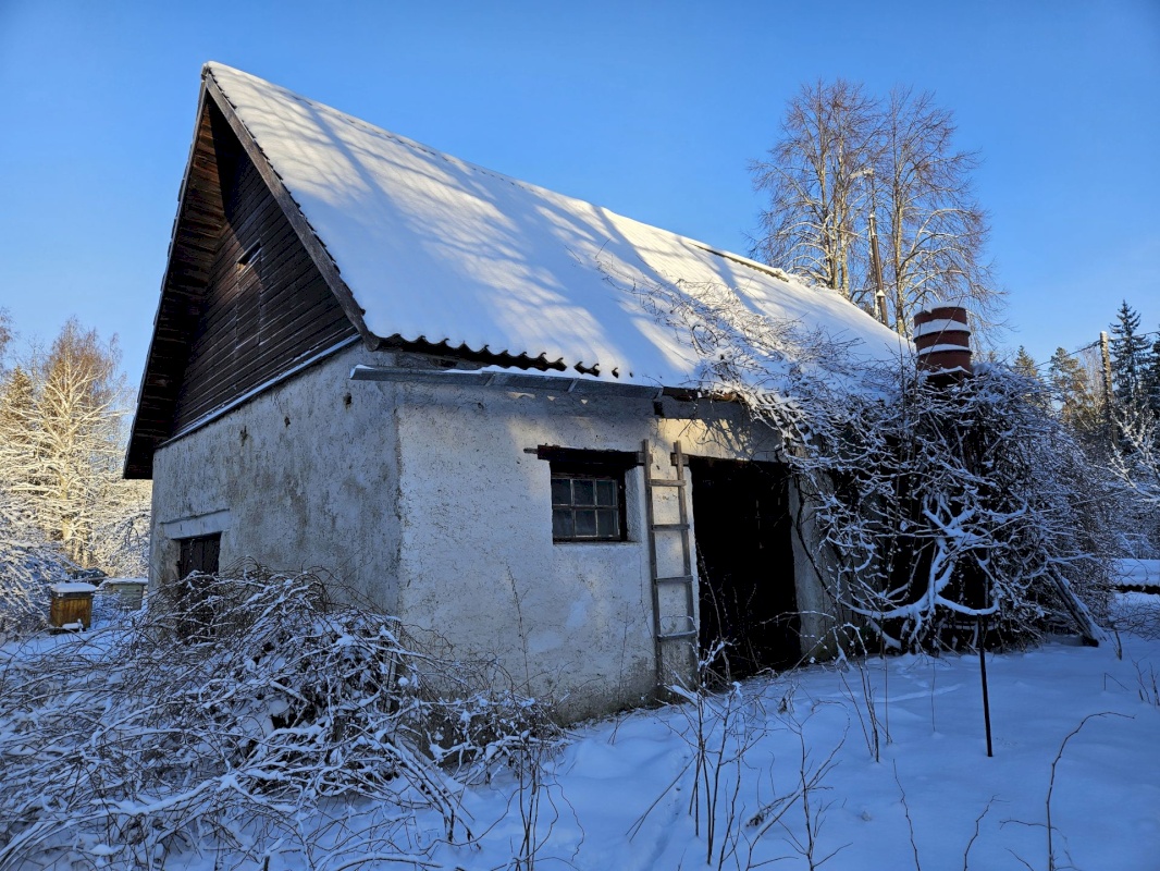 Haljala vald, Lauli küla, Vaarika