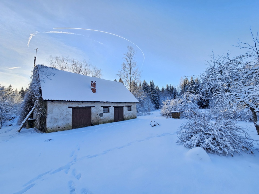 Haljala vald, Lauli küla, Vaarika