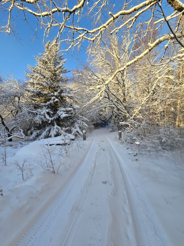 Haljala vald, Lauli küla, Vaarika