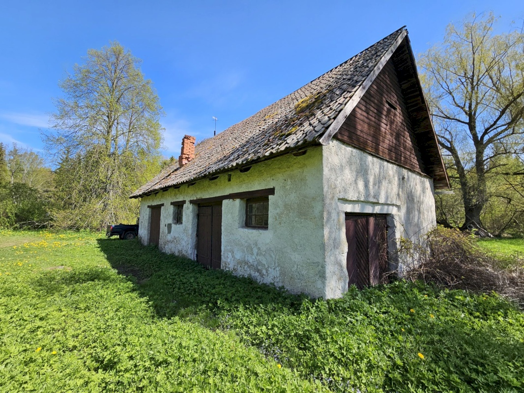 Haljala vald, Lauli küla, Vaarika