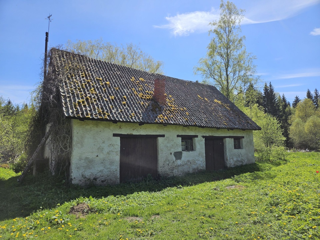 Haljala vald, Lauli küla, Vaarika
