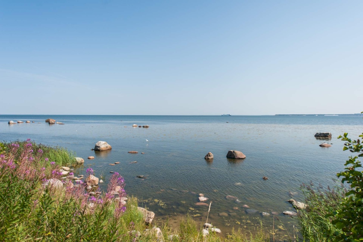 Viimsi vald, Randvere küla, Vaablase tee 27