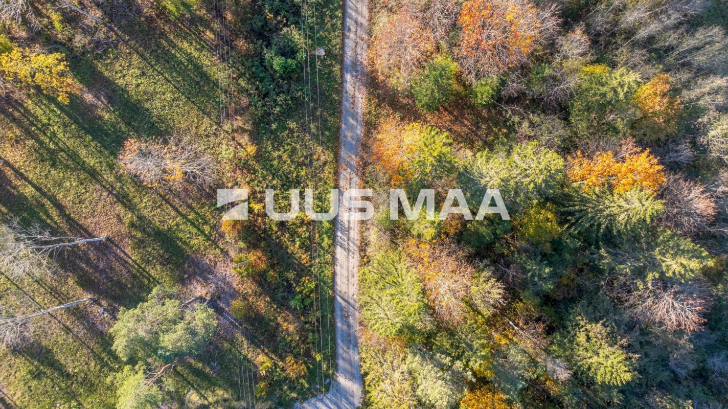 Lääne-Harju vald, Lehola küla, Pärna