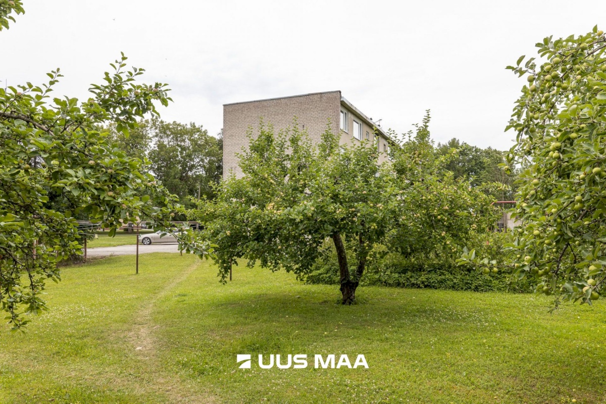 Rapla vald, Järlepa küla, Keskuse 7