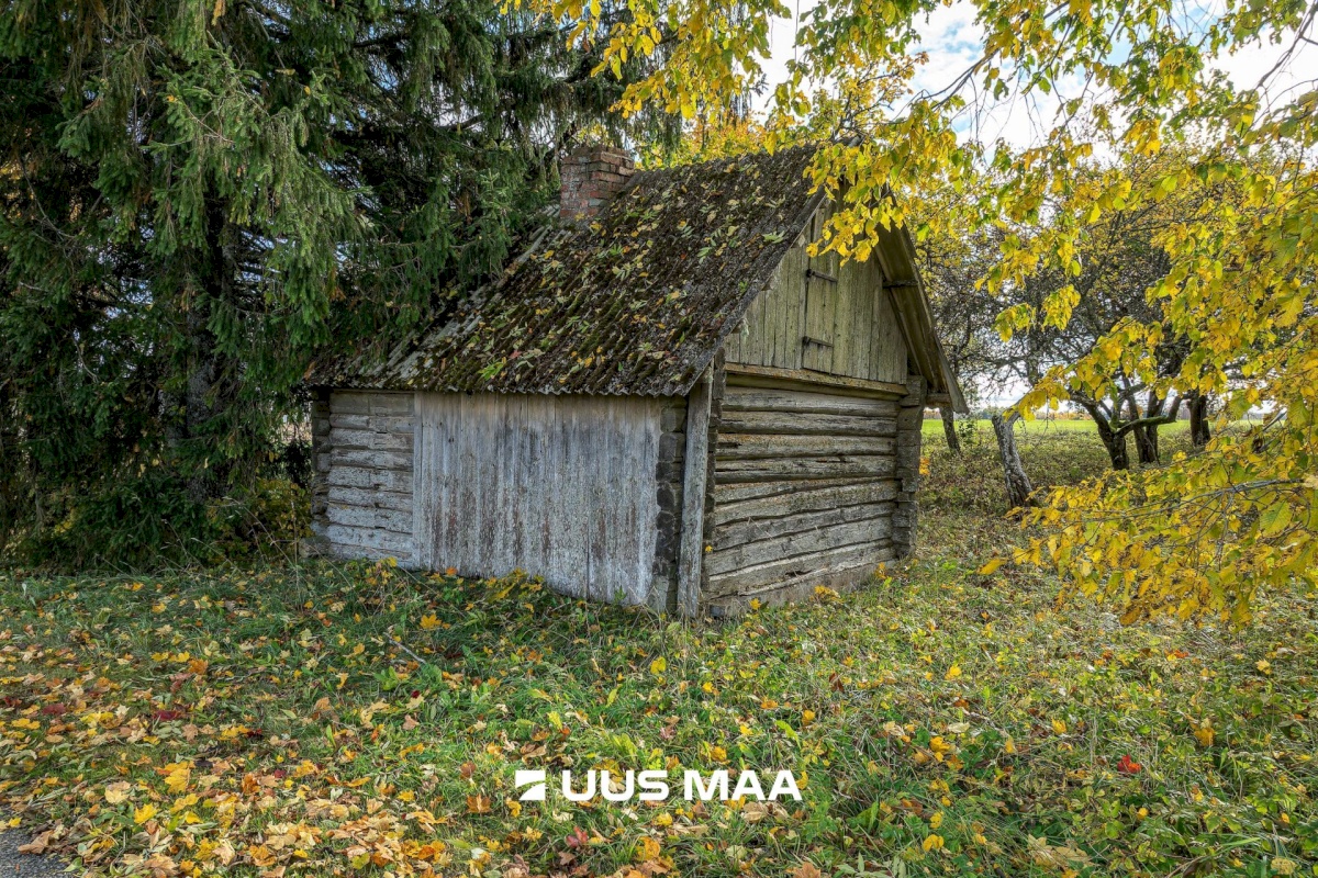 Põhja-Sakala vald, Vastemõisa küla, Papi