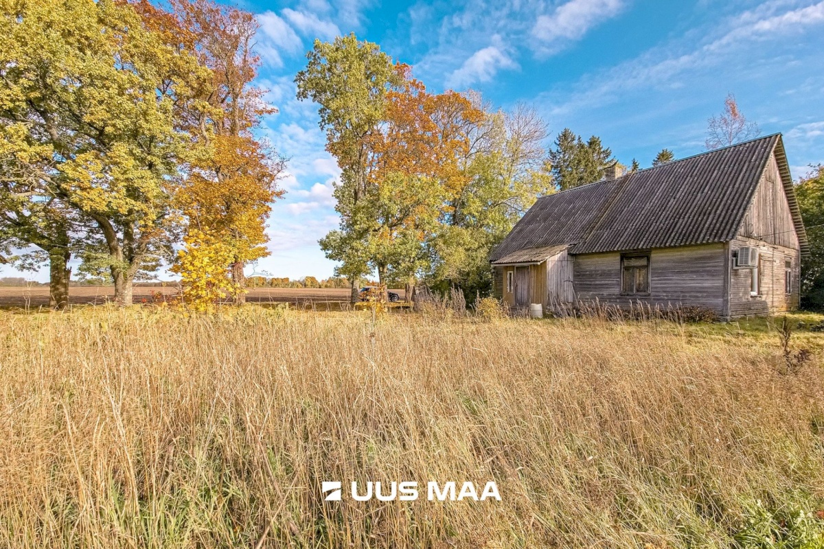 Põhja-Sakala vald, Vastemõisa küla, Papi