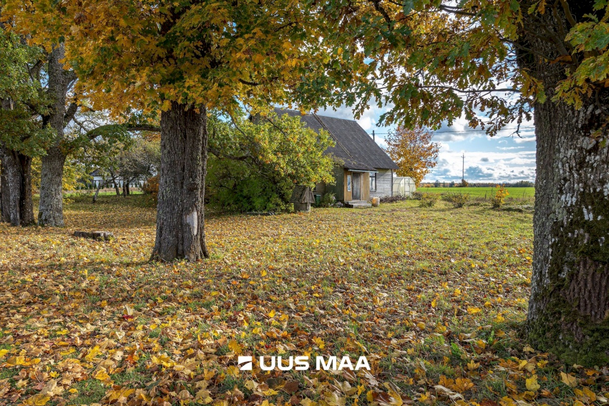 Põhja-Sakala vald, Vastemõisa küla, Papi
