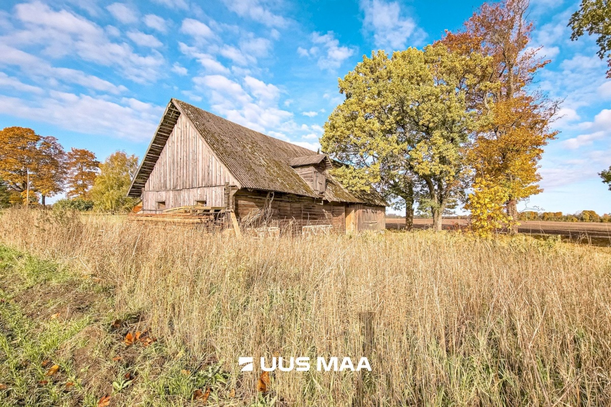 Põhja-Sakala vald, Vastemõisa küla, Papi