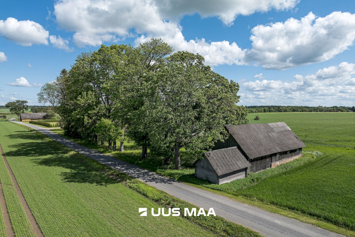 Põhja-Sakala vald, Vastemõisa küla, Papi