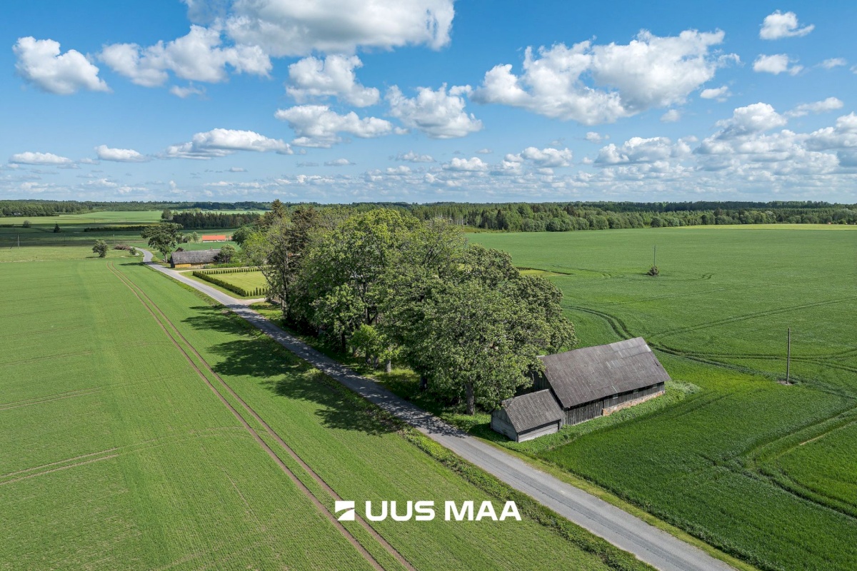Põhja-Sakala vald, Vastemõisa küla, Papi