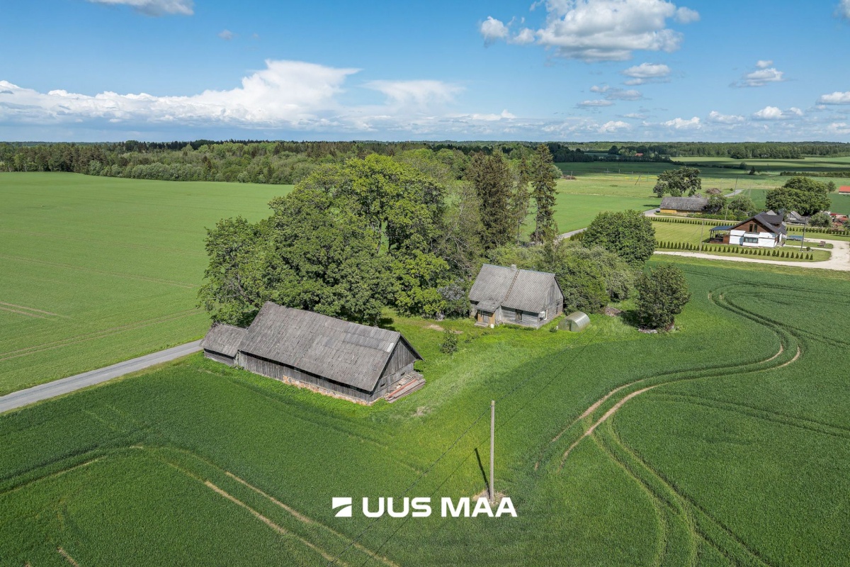 Põhja-Sakala vald, Vastemõisa küla, Papi