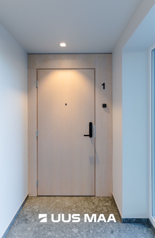 Rakvere linn, Kastani 10a-1