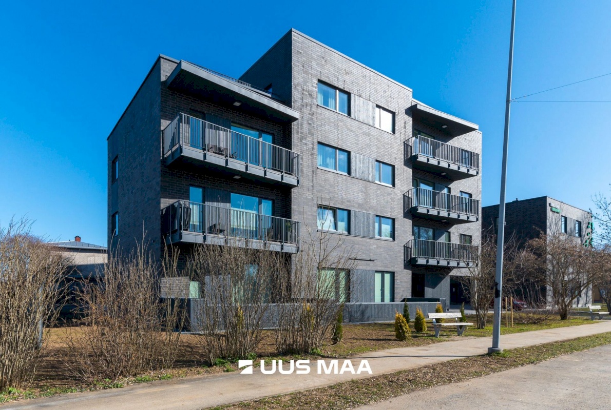 Rakvere linn, Kastani 10a-1