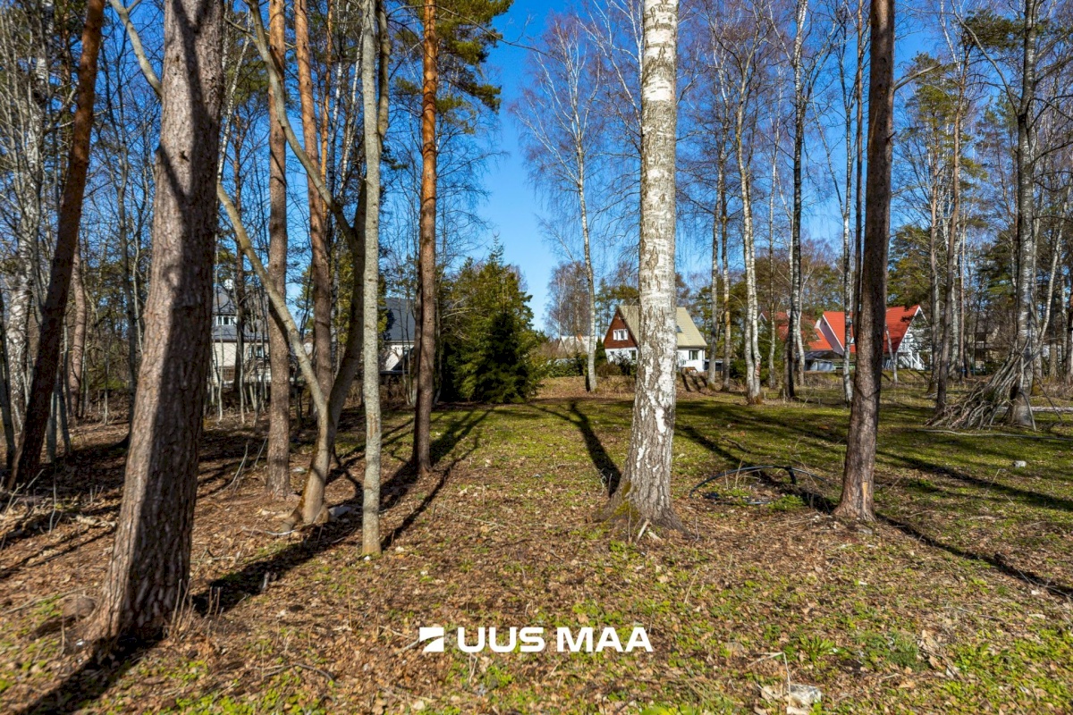 Tallinn, Nõmme linnaosa, Rajametsa tn 12c