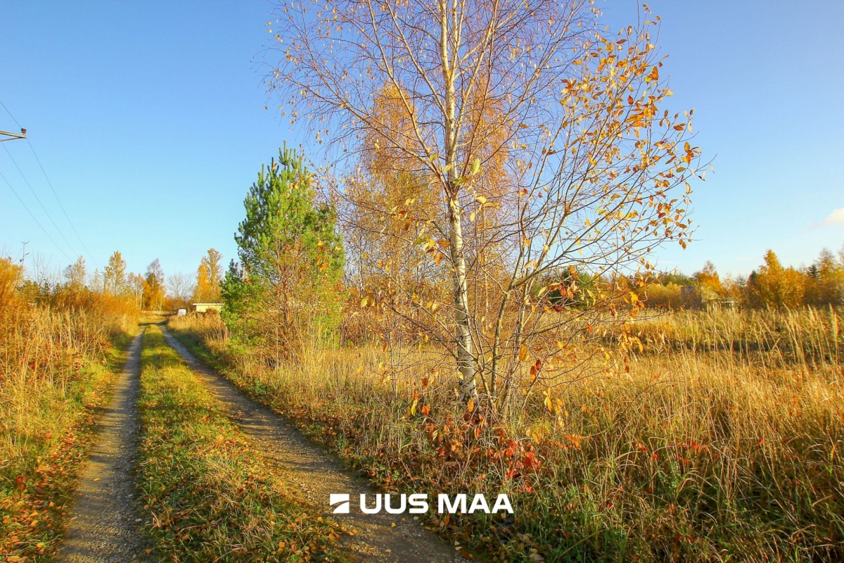 Pärnu linn, Marksa küla, Madisemere tee 3