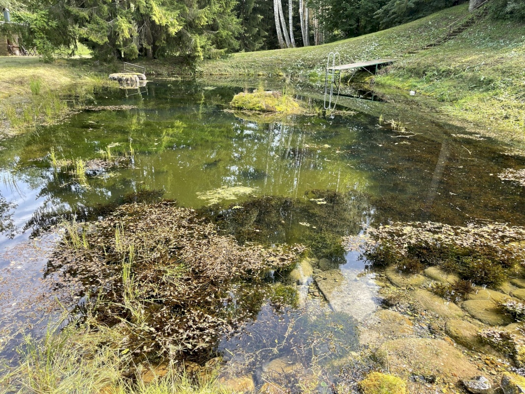 Kastre vald, Uniküla, Aare