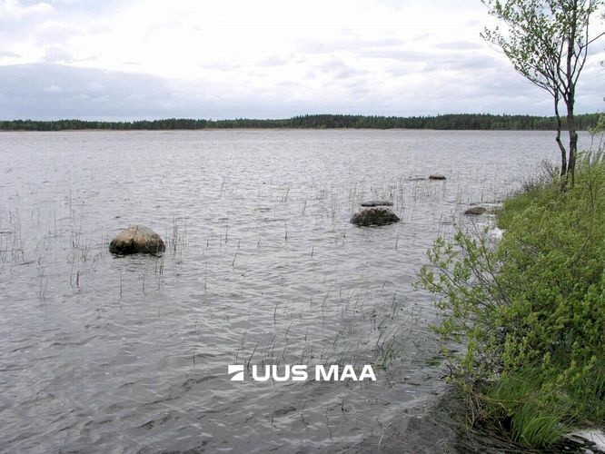 Põhja-Pärnumaa vald, Kaisma küla, Tuule