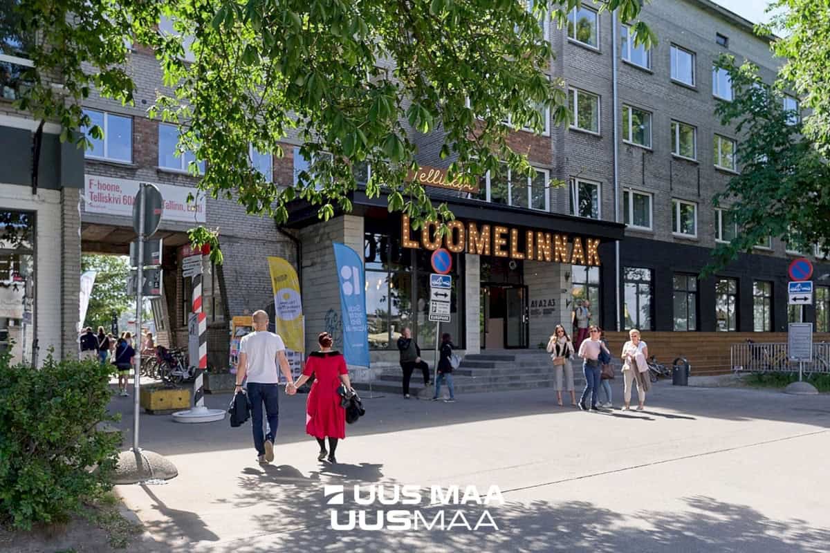 Tallinn, Põhja-Tallinna linnaosa, Lible 5