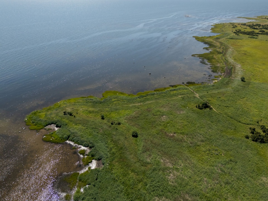 Saaremaa vald, Suure-Rootsi küla