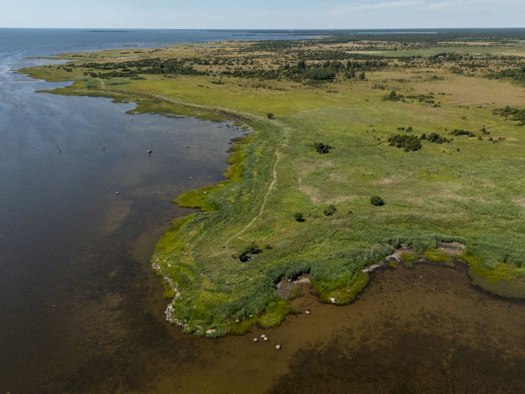 Saaremaa vald, Suure-Rootsi küla