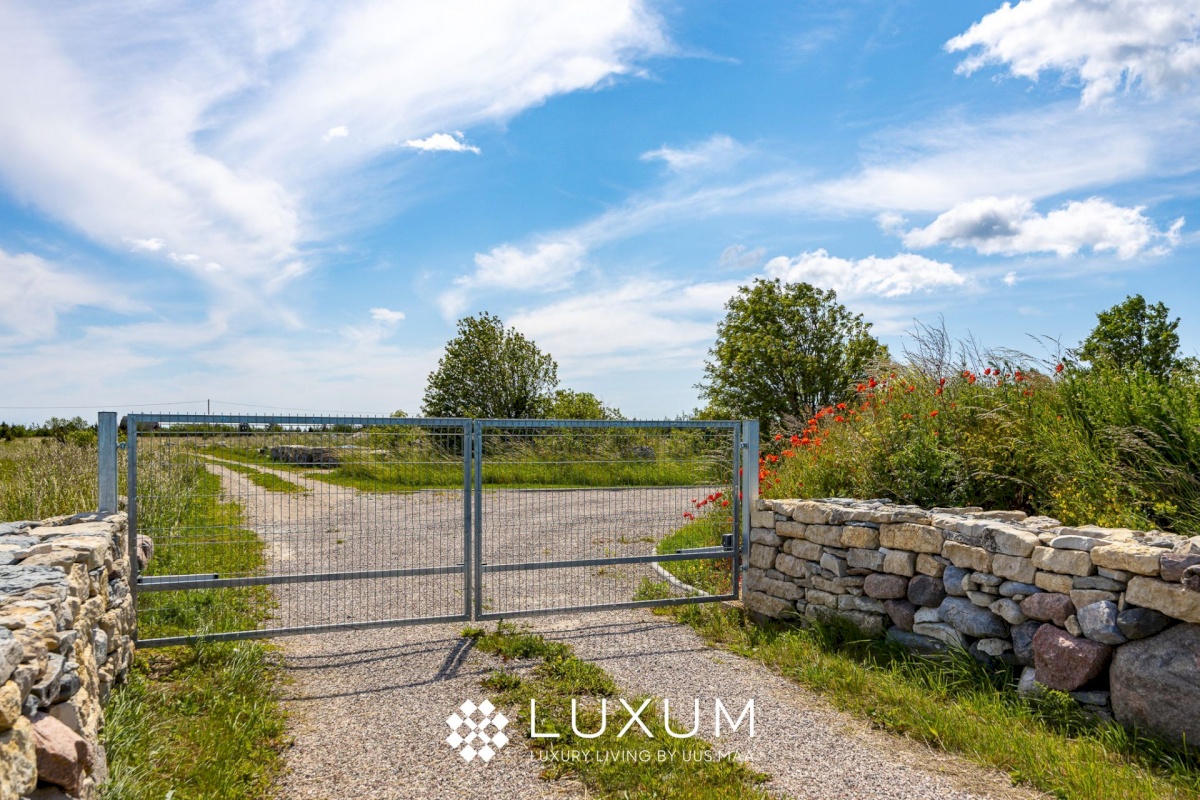 Saaremaa vald, Suure-Rootsi küla, Ruunikivi