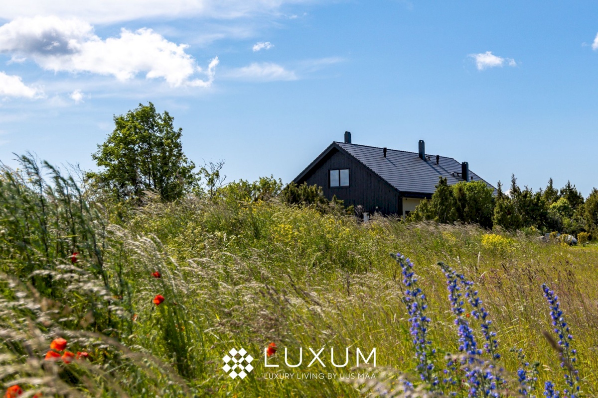 Saaremaa vald, Suure-Rootsi küla, Ruunikivi