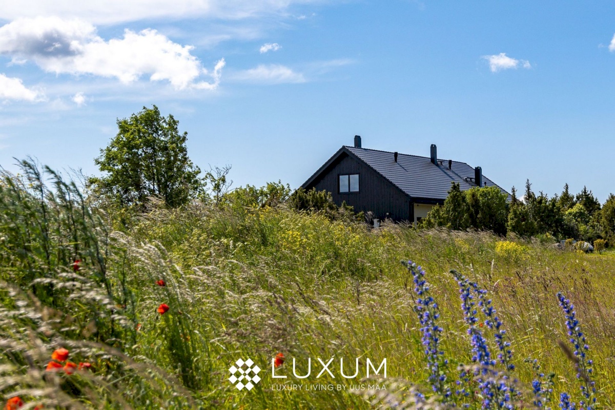 Saaremaa vald, Suure-Rootsi küla, Ruunikivi