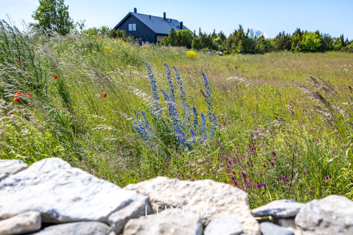 Saaremaa vald, Suure-Rootsi küla, Ruunikivi