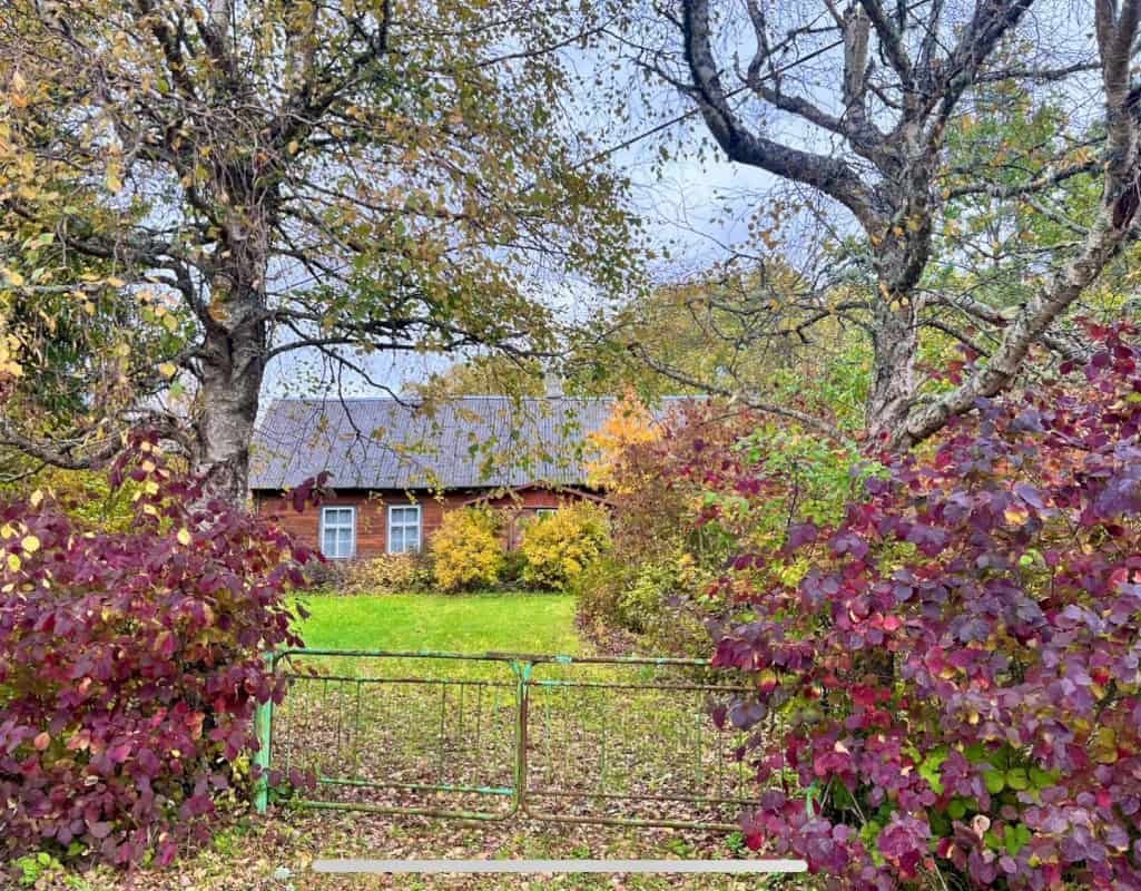 Saaremaa vald, Tõlluste küla