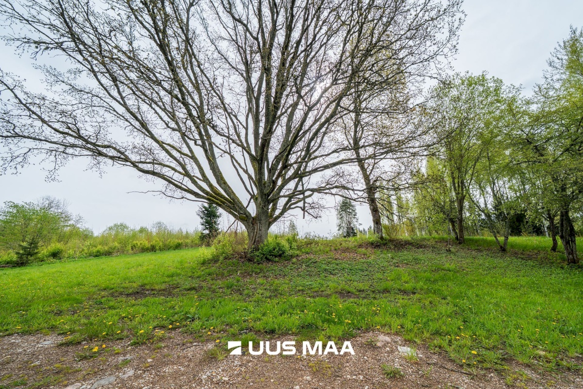 Rõuge vald, Kahrila-Mustahamba küla