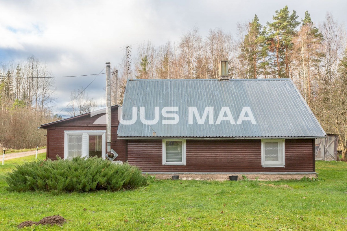 Põlva vald, Kanassaare küla, Metsa