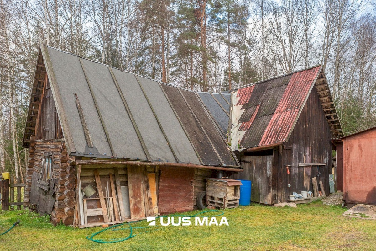 Põlva vald, Kanassaare küla, Metsa