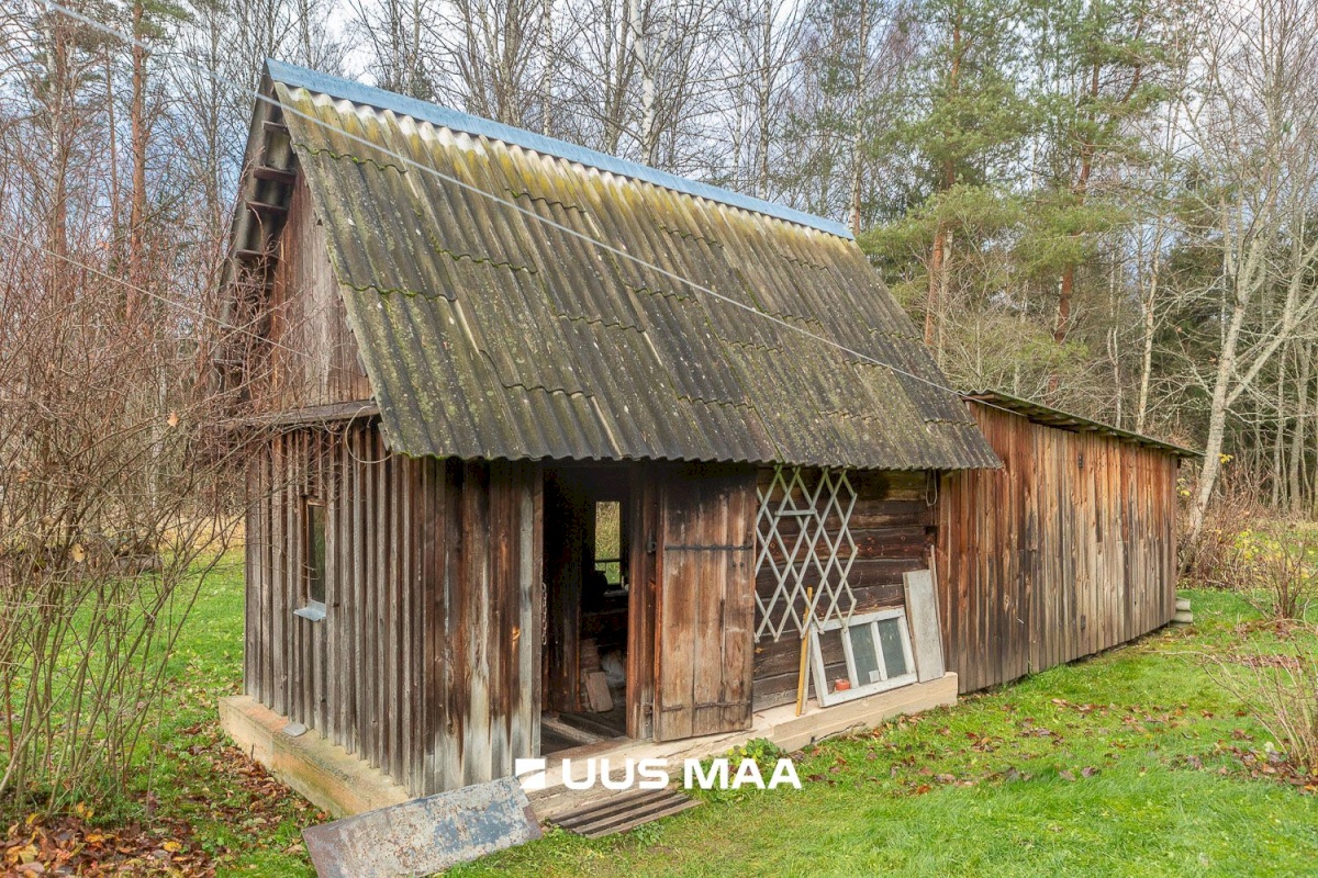 Põlva vald, Kanassaare küla, Metsa