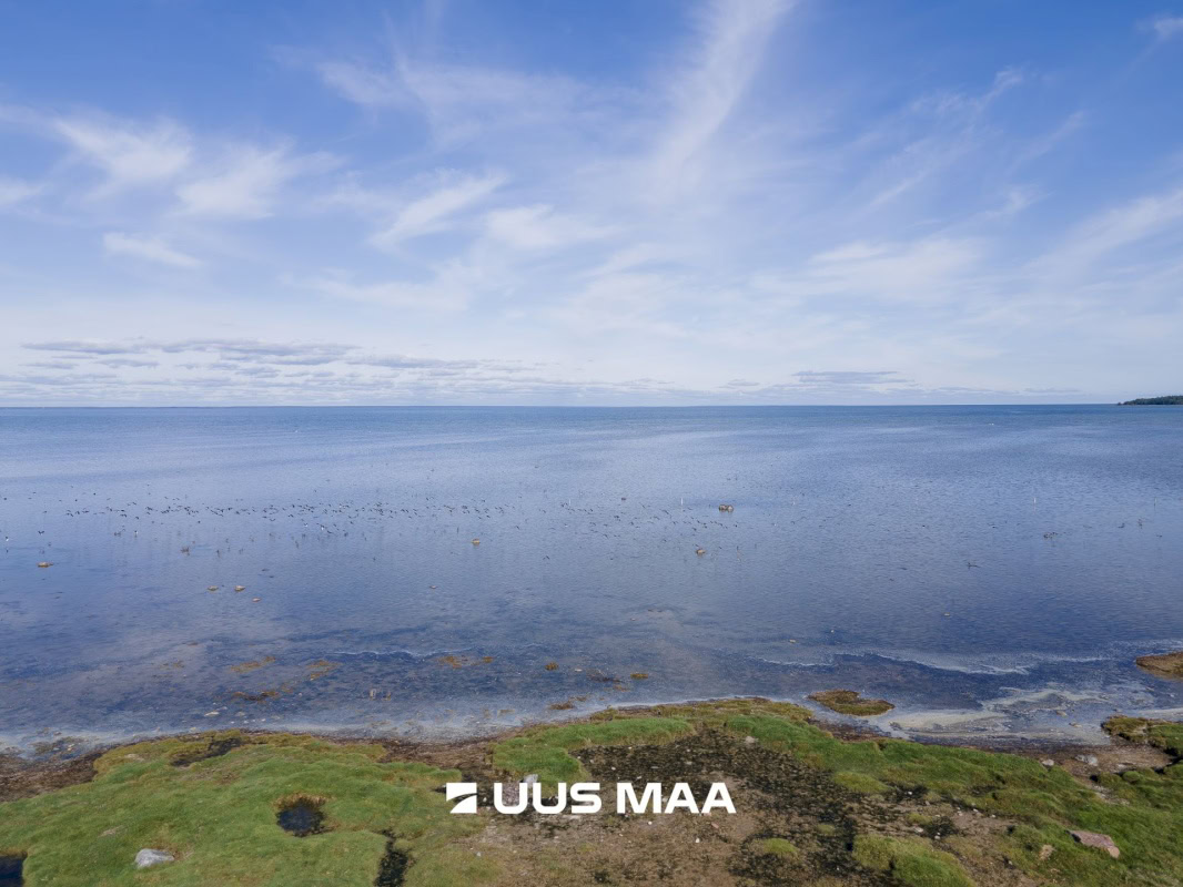 Saaremaa vald, Parasmetsa küla, Metsanurga