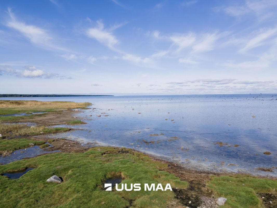 Saaremaa vald, Parasmetsa küla, Metsanurga